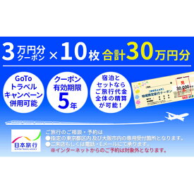 【ふるさと納税】日本旅行　地域限定旅行クーポン【300，000円分】　【旅行・チケット・旅行・宿泊券】