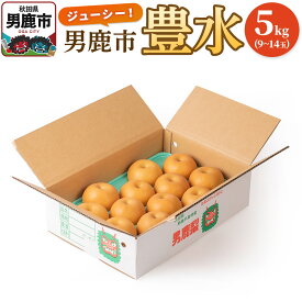 【ふるさと納税】【令和8年度 早期受付】豊水 5kg 9〜14玉 梨 なし ナシ 秋田県 男鹿市 旬の果物 フルーツ