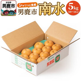 【ふるさと納税】【令和8年度 早期受付】南水 5kg 10玉〜14玉 梨 なし ナシ 秋田県 男鹿市 旬の果物 フルーツ