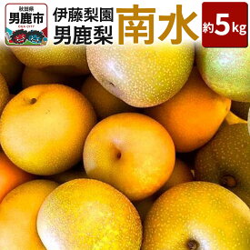 【ふるさと納税】【先行受付】男鹿梨 「伊藤梨園」の南水 梨 約5kg 2L〜3L 14玉〜16玉 秋田県 男鹿市 旬の果物 2026年10月中旬以降出荷