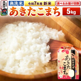 【ふるさと納税】《令和7年産》【無洗米】あきたこまち 5kg 秋田県 男鹿市 こまちライン【選べるお届け回数】