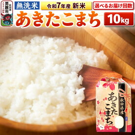 【ふるさと納税】《令和7年産》【無洗米】あきたこまち 10kg（5kg×2袋） 秋田県 男鹿市 こまちライン【選べるお届け回数】