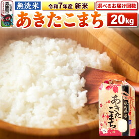 【ふるさと納税】《令和7年産》【無洗米】あきたこまち 20kg（5kg×4袋） 秋田県 男鹿市 こまちライン【選べるお届け回数】