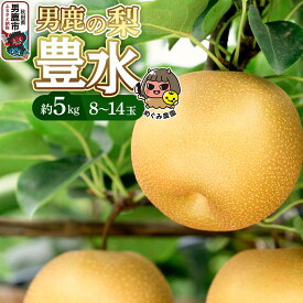 【ふるさと納税】《先行受付》男鹿の梨 豊水 約5kg 8〜14玉 梨 秋田県 男鹿市 ＜めぐみ農園＞ 2026年9月中旬より発送