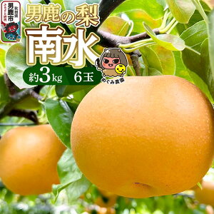 yӂ邳Ɣ[Łzssttj̗ 쐅 3kg 6  Hc js ߂ݔ_ 2026N9{蔭