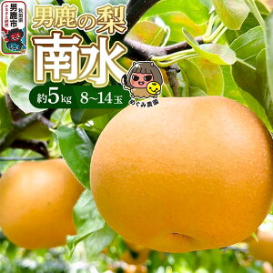 yӂ邳Ɣ[Łzssttj̗ 쐅 5kg 8`14  Hc js ߂ݔ_ 2026N9{蔭