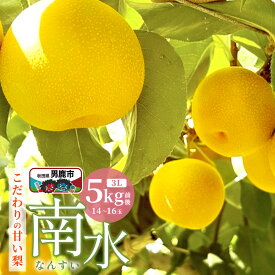【ふるさと納税】【先行受付】10月中旬〜下旬発送 南水 梨 こだわりの甘い梨 5kg前後 3L 14〜16玉 産地直送 旬の果物 ギフト 秋田県 男鹿市 [日本梨 梨 なし ナシ 南水 なんすい ナンスイ]