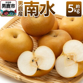 【ふるさと納税】【令和8年度 早期受付】 南水 約5kg 10月中旬〜11月中旬発送 梨 旬の果物 ギフト 秋田県 男鹿市 男鹿ファーム直売所