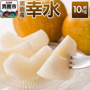 yӂ邳Ɣ[Łzyߘa8Nx tzK 10kg 9{`9{  {̉ʕ Mtg Hc js jt@[