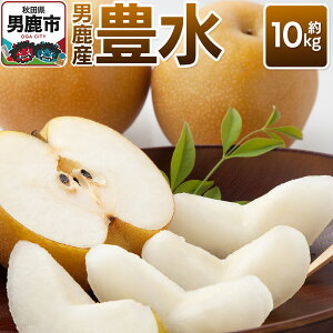 yӂ邳Ɣ[ŁzssttL 10kg 9{`10{  {̉ʕ Mtg Hc js jt@[