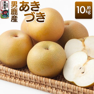yӂ邳Ɣ[ŁzssttÂ 10kg 9{`10{  {̉ʕ Mtg Hc js jt@[