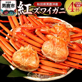 【ふるさと納税】男鹿沖産紅ズワイガニ 550g 前後×4杯 男鹿なび 蟹 カニ 国産 秋田 ずわい蟹 ずわいガニ [新鮮 冷蔵便]