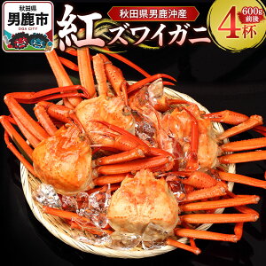 yӂ邳Ɣ[ŁzjYgYCKj 600g O×4t jȂ I Jj Y Hc 킢I 킢Kj