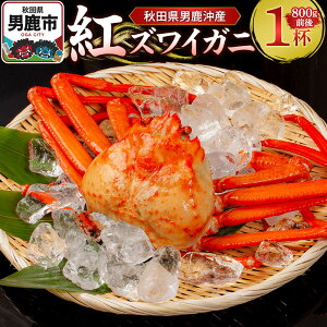 yӂ邳Ɣ[ŁzjYgYCKj 800g O×1t jȂ I Jj Y Hc 킢I 킢Kj