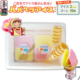 【ふるさと納税】ババヘラ・アイスセット [タッパアイス2パック（1,000ml×2）、コーン10個、専用ヘラ1個]【進藤冷菓】ご当地アイス