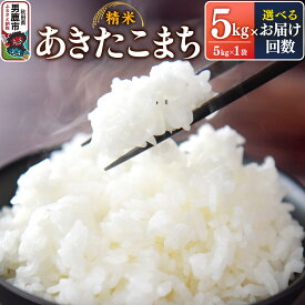 【ふるさと納税】定期便【選べるお届け回数】令和7年産 あきたこまち （精米）5kg（5kg×1袋）スズキファーム