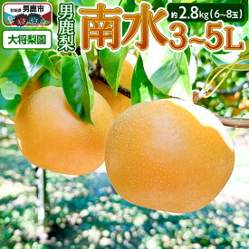【ふるさと納税】【先行受付】2026年10月上旬〜下旬発送 男鹿梨「大将梨園」南水 約2.8kg 6〜8玉 3〜5L 梨 秋田県 男鹿市