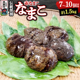 【ふるさと納税】【期間限定】赤ナマコ 約1.5kg （7〜10個前後） なまこ 海風丸 秋田県 男鹿市 [なまこ ナマコ 海鼠 珍味 海産]
