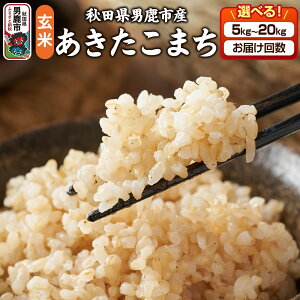 �y�ӂ邳�Ɣ[�Łz�ߘa7�N�Y ���������܂� ���āy�I�ׂ�e�ʁi5kg 10kg 15kg 20kg�j×���͂��񐔁z�g�^���X �H�c�� �j���s ���� ���ٓ� ���ɂ���