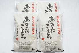 【ふるさと納税】令和5年産米 小野小町の郷特撰米あきたこまち5kg×4袋 ふるさと納税 秋田県 米 あきたこまち 小野小町 C1-2201