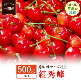 【ふるさと納税】数量限定！紅秀峰500g秀2Lサイズ以上[B5-10802]