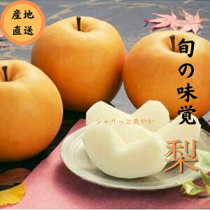 yӂ邳Ɣ[ŁzH̖o@aiKELEVE쐅j 6ʓ ϔ t[c ʕ Yn fU[gyBARU oCIWpgЁz[B4-9901]