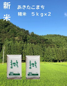 【ふるさと納税】令和5年産米　特別栽培米 こまちの郷のこまち米 精米 5kg×2袋[B5-12401]