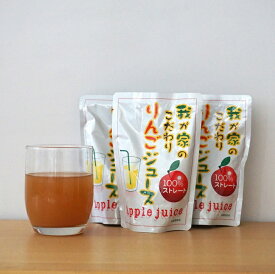 【ふるさと納税】三関産リンゴジュース(10袋)[K2604]