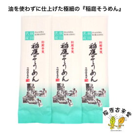 【ふるさと納税】稲庭古来そうめん お徳用袋入り160g×3袋【(有)稲庭古来堂】[A1405]