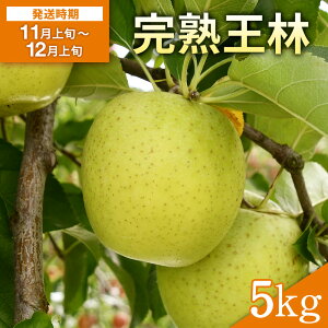 yӂ邳Ɣ[Łzn 5kg ь ʕ t[cycʎz[B2-10801]
