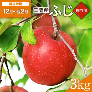 yӂ邳Ɣ[Łz p ӂiTӂj 3kgycʎz[B2-10802]