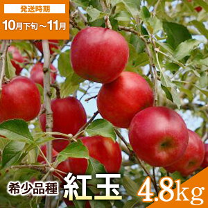 yӂ邳Ɣ[Łz󏭉lIg 4.8kgycʎz[B6-10803]