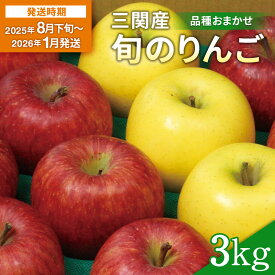 【ふるさと納税】三関旬のりんご 秀品 3kg （8玉〜12玉） 満杯詰め 三関産 旬 りんご 品種お任せ 果物 フルーツ 秋田県 三関 【三関果樹研究会】[L15101]