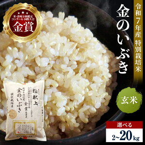 yӂ邳Ɣ[Łzߘa7NY ߂Ă ʍ͔| ̂Ԃ Iׂe 2kg`20kg   _ƒ ܗ𑽐 _RR͔̊|^ ӂ邳 lC LOyn _