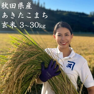 �y�ӂ邳�Ɣ[�Łz�ߘa7�N�Y ��A �H�c���Y ���������܂� ���� �I�ׂ�e�� 3�`30kg �āy(��)��ؖ��ܘY���X�z[B3-2303]