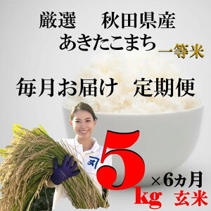 yӂ邳Ɣ[Łzs6tHcY ܂ 5kg ×1  ӂ邳Ɣ[ Hc ܂ āy()ؖܘYXz[F2305]