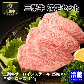 【ふるさと納税】三梨牛満足セット【肉の高長】[E1601]