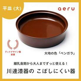 【ふるさと納税】aeru 川連漆器のこぼしにくい器 平皿 べんがら【(株)和える】[D15601]