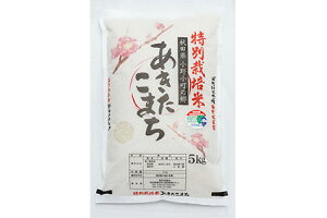 yӂ邳Ɣ[Łzyߘa7NYāz쏬̋ ʍ͔| ܂ 5kg×1 ӂ邳Ɣ[ Hc  ܂ āycčXz[B9-2202]