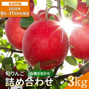 yӂ邳Ɣ[Łz_oג^ I {  lߍ킹 3kg Gi  i킨C   VimXC[g VimS[h gL AL^S[h Hcg ̒ Z  W