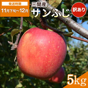 yӂ邳Ɣ[ŁzO֎Y  Tӂ 5kg 󂠂ӂ ӂ邳Ɣ[ { ʕ t[c W[V[ Â Hc sO֎Yyʎz[B14604]