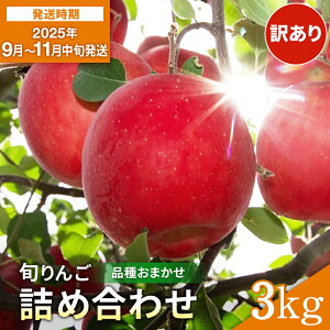 yӂ邳Ɣ[Łz_oג^ 󂠂   i킨܂ ƒp 3kg   VimXC[g VimS[h gL AL^S[h Hcg ̒ Z  W[V[ 