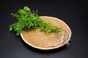 �y�ӂ邳�Ɣ[�Łz�O�֎Y�Z�� 5�� ���� �H�c�� �ӂ邳�� �l�C �����L���O�y���R�ʎ����z[M7801]