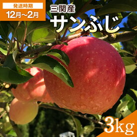 【ふるさと納税】三関産りんご（サンふじ）3kg りんご ふじ 秋田県 ふるさと 人気 ランキング【奥山果樹園】[L7801]