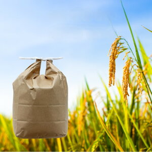 yӂ邳Ɣ[Łzߘa7NY ܂  5kg HcY sY V  Y сyBARUoCIWpgz[B5-9904]