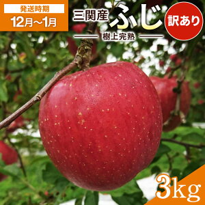 �y�ӂ邳�Ɣ[�Łz�y �󂠂� �z�_���㊮�n�ŊÂ݂������I�^ �O�� ��� �ӂ� 3kg �ƒ�p �ӂ邳�Ɣ[�� ��� �{ �ӂ���� ���� ���n �ʕ� �t���[�c �H�c�� �O�֎Y �y�O�։ʎ��׋���z[K3204]