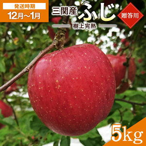 �y�ӂ邳�Ɣ[�Łz�_���㊮�n�ŊÂ݂������I�^ �O�� ��� �ӂ� 5kg �����p �ӂ邳�Ɣ[�� ��� �{ �ӂ���� ���� ���n �ʕ� �t���[�c �H�c�� �O�֎Y �y�O�։ʎ��׋���z[B5-3203]