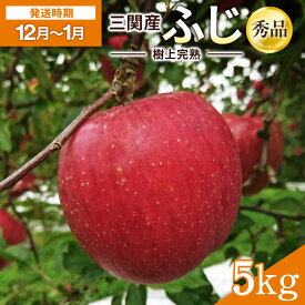【ふるさと納税】＼樹上完熟で甘みが強い！／ 三関 りんご ふじ 5kg 秀品 ふるさと納税 りんご 旬 ふじりんご 樹上 完熟 果物 フルーツ 秋田県 三関産 【三関果樹勉強会】[B3210]