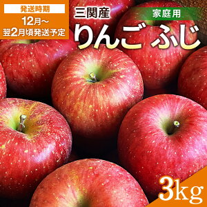 yӂ邳Ɣ[ŁzO֎Y  ӂ ƒp 3kg Hc s nY ʕ t[c ьyO։ʎz[J15102]