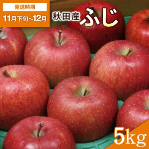 yӂ邳Ɣ[Łz ӂ 5kg 16ʁ`18  _  Ö ̃oXiI ӂ邳Ɣ[  { ӂ ʕ t[c Hcy()̋@؍؂܂z[B5-2701]